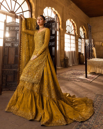 Faiza saqlain Tussel silk fabric with bareeze net shararah